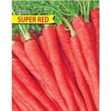 Carrot Red - Gajar Lal
